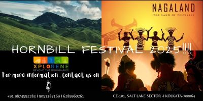 Hornbill Festival - Nagaland Tour