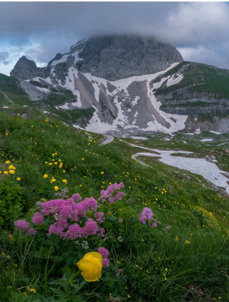 KASHMIR TOUR PACKAGES